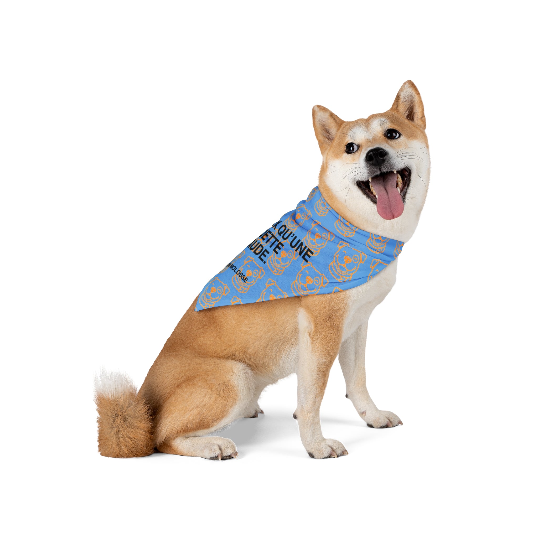 Bandana pour chien - Plus doux qu’une baguette chaude
