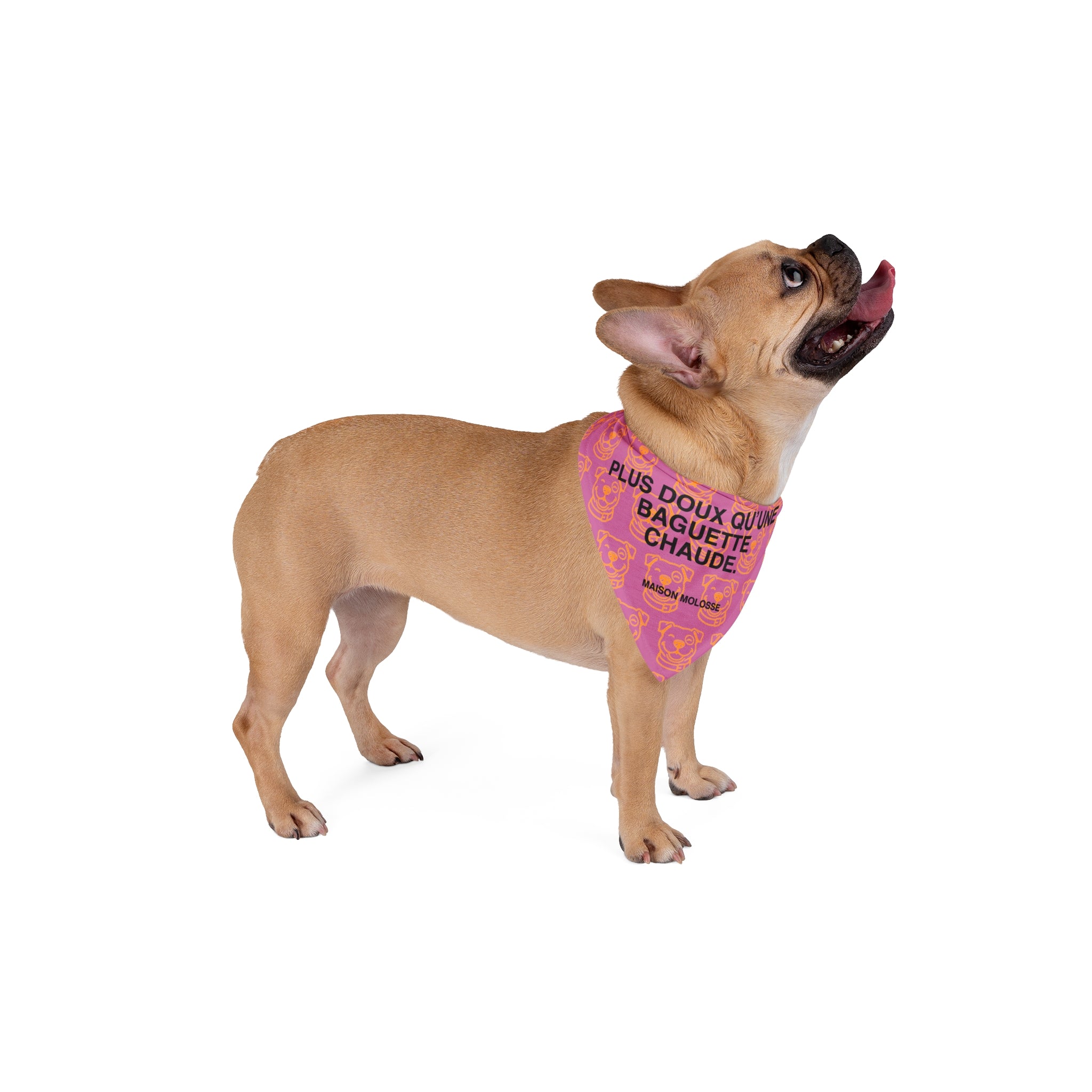 Bandana pour chien - Plus doux qu’une baguette chaude