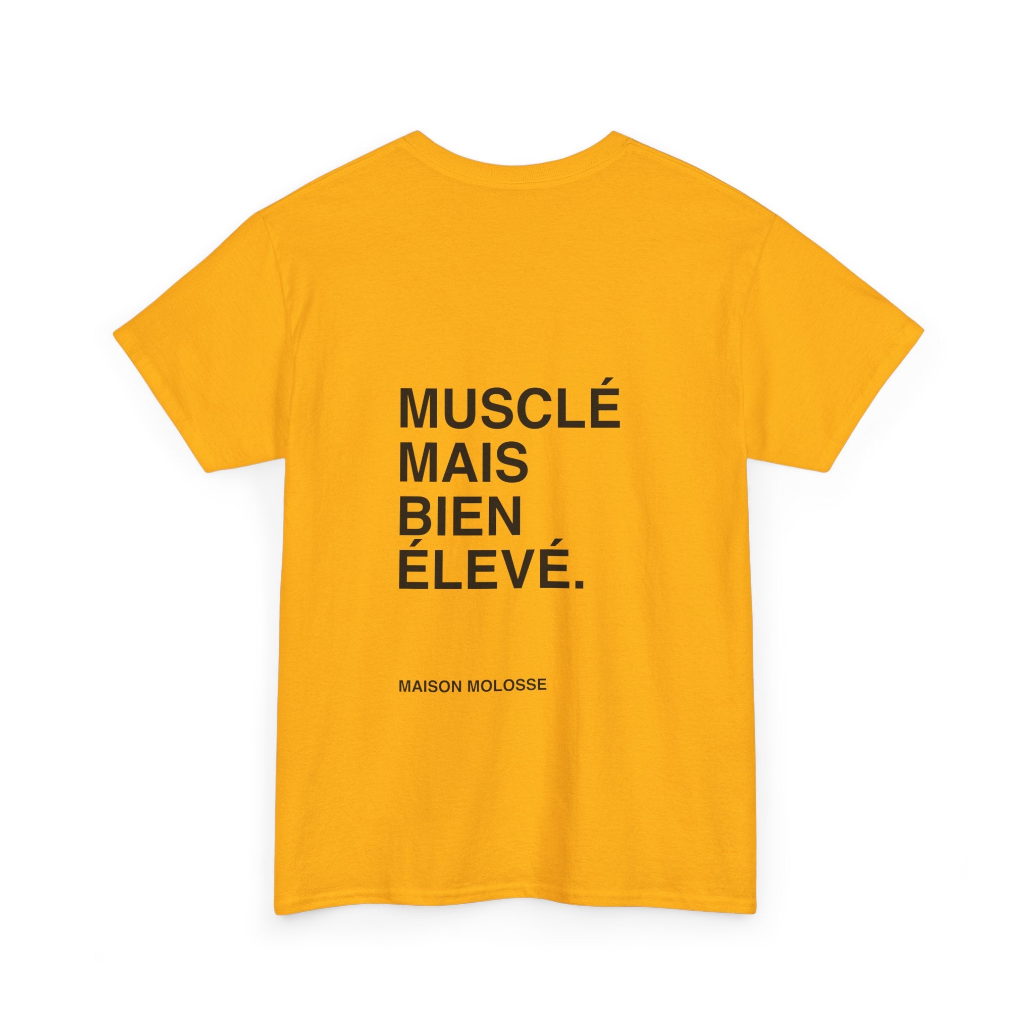 Musclé mais bien élevé - Heavy Cotton T-Shirt for Dog Owners