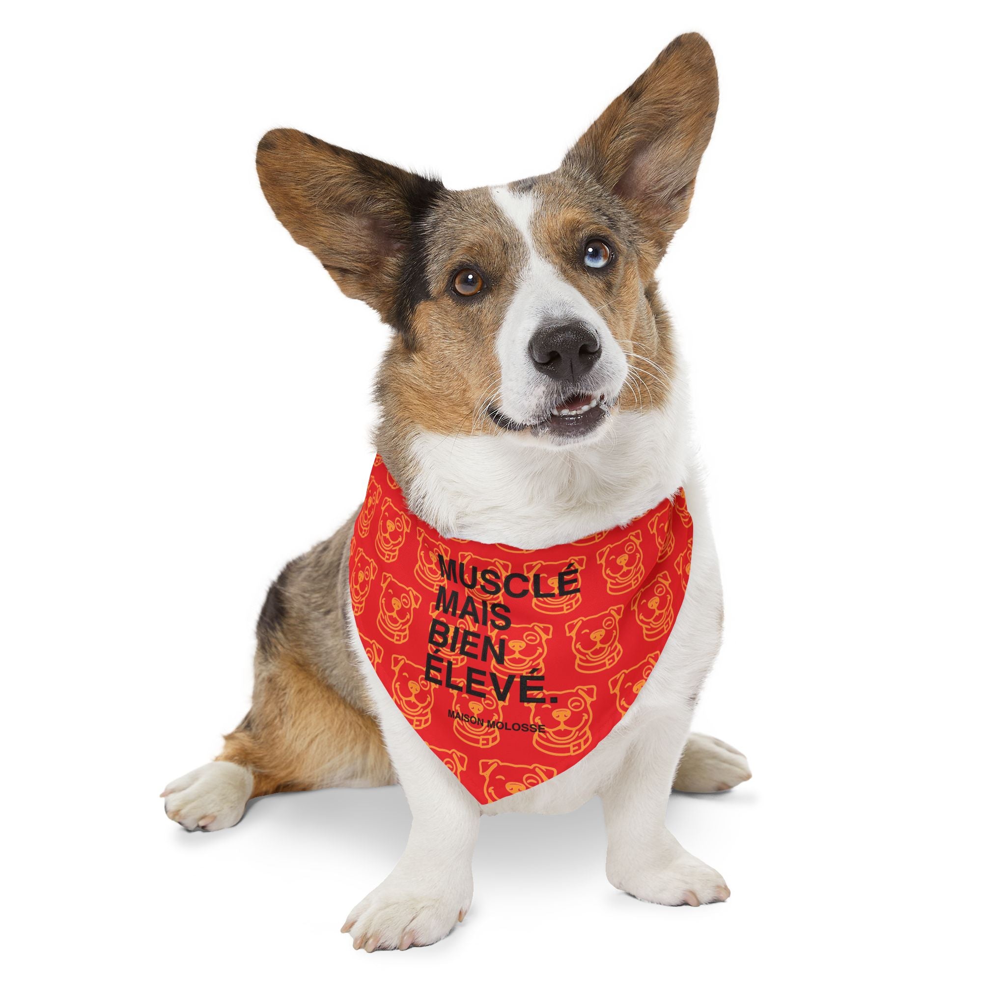 Plus doux qu’une baguette chaude – Bandana Collier Stylé pour chien