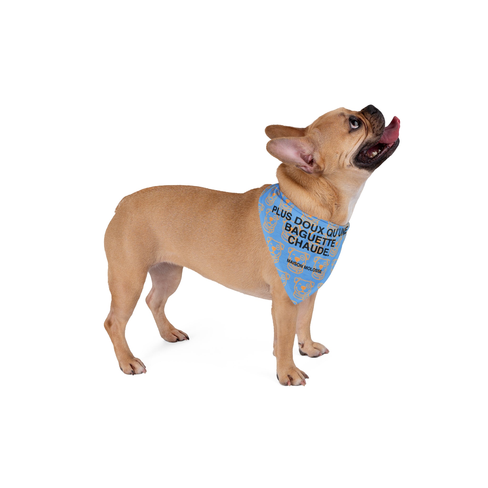 Bandana pour chien - Plus doux qu’une baguette chaude