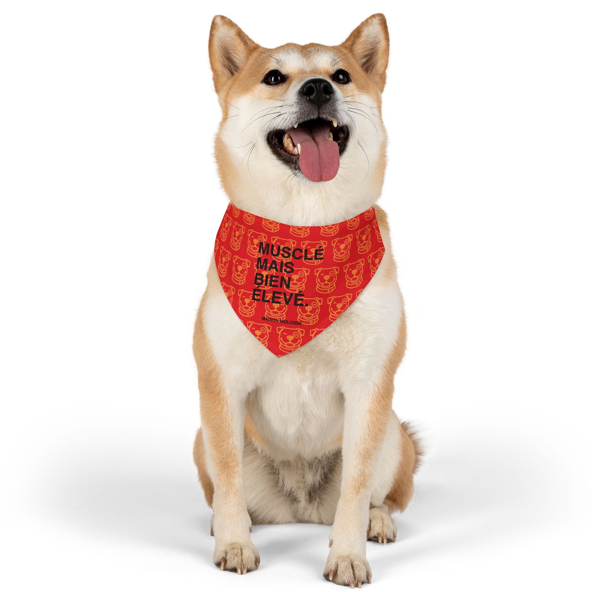 Plus doux qu’une baguette chaude – Bandana Collier Stylé pour chien