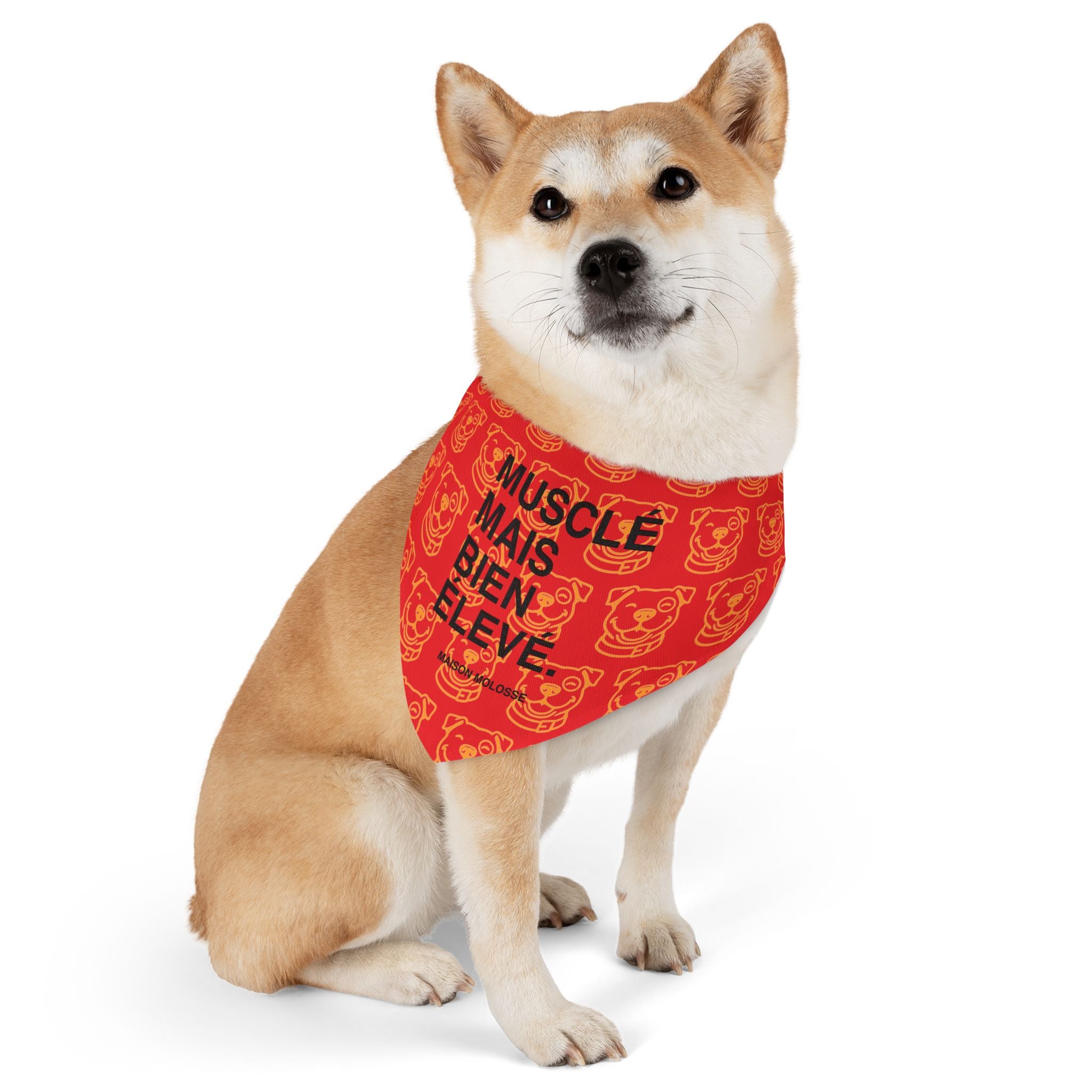 Plus doux qu’une baguette chaude – Bandana Collier Stylé pour chien