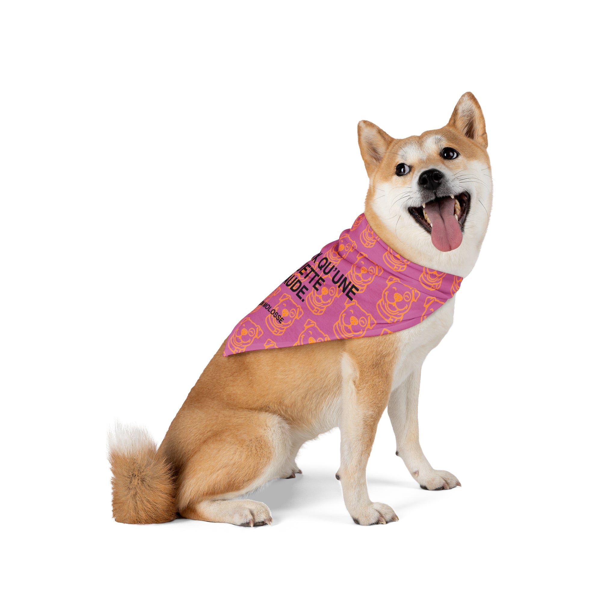 Bandana pour chien - Plus doux qu’une baguette chaude