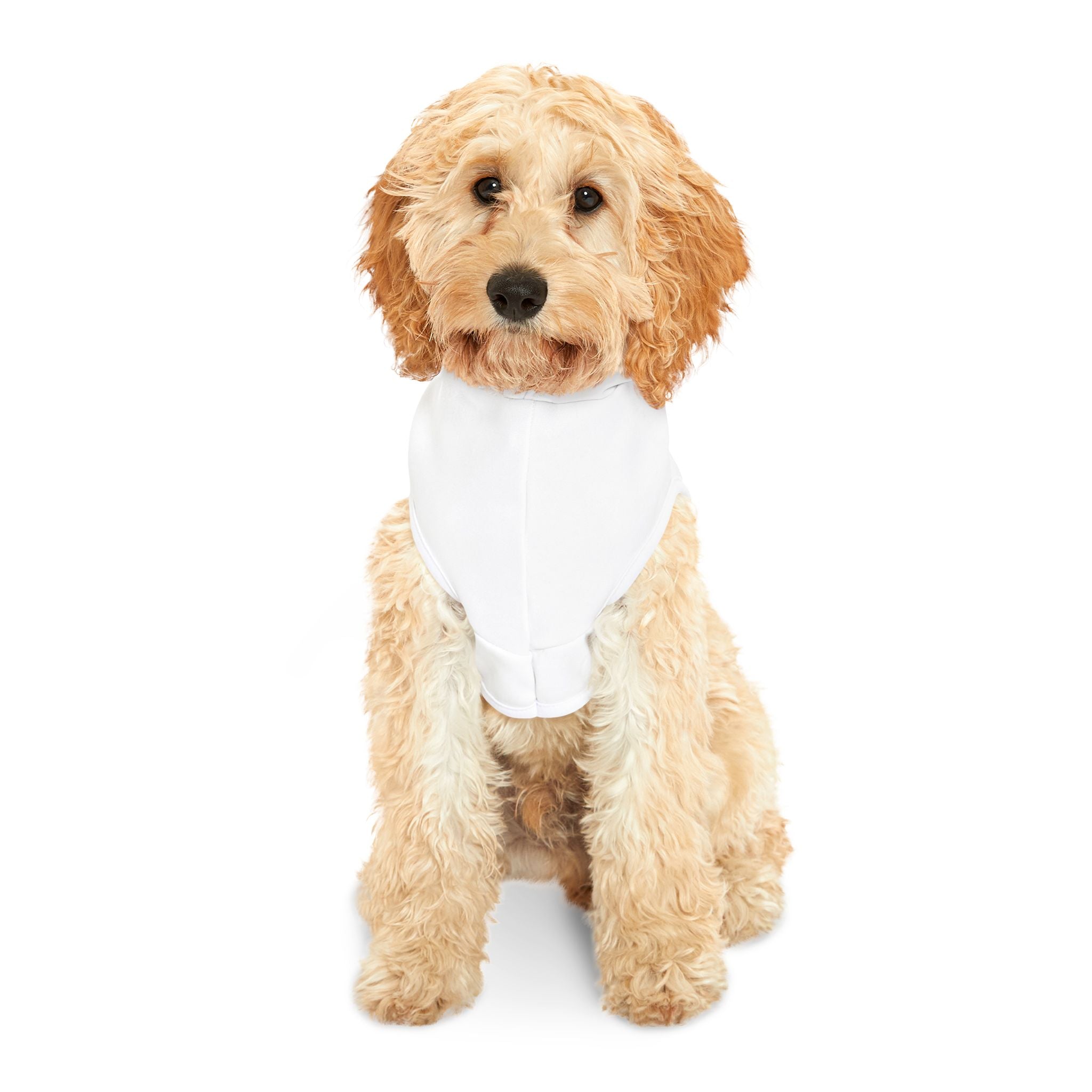 Hoodie pour chien