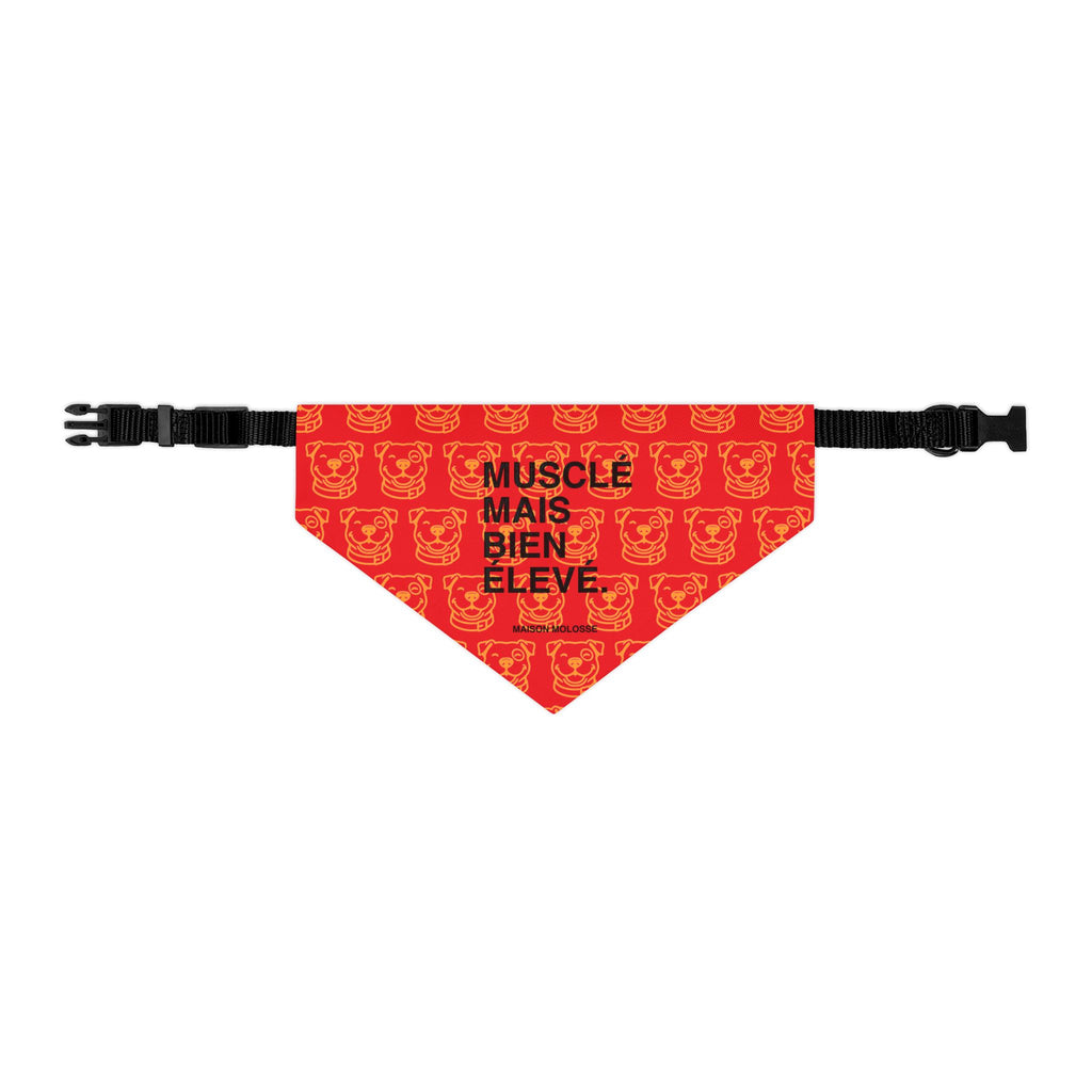 Plus doux qu’une baguette chaude – Bandana Collier Stylé pour chien