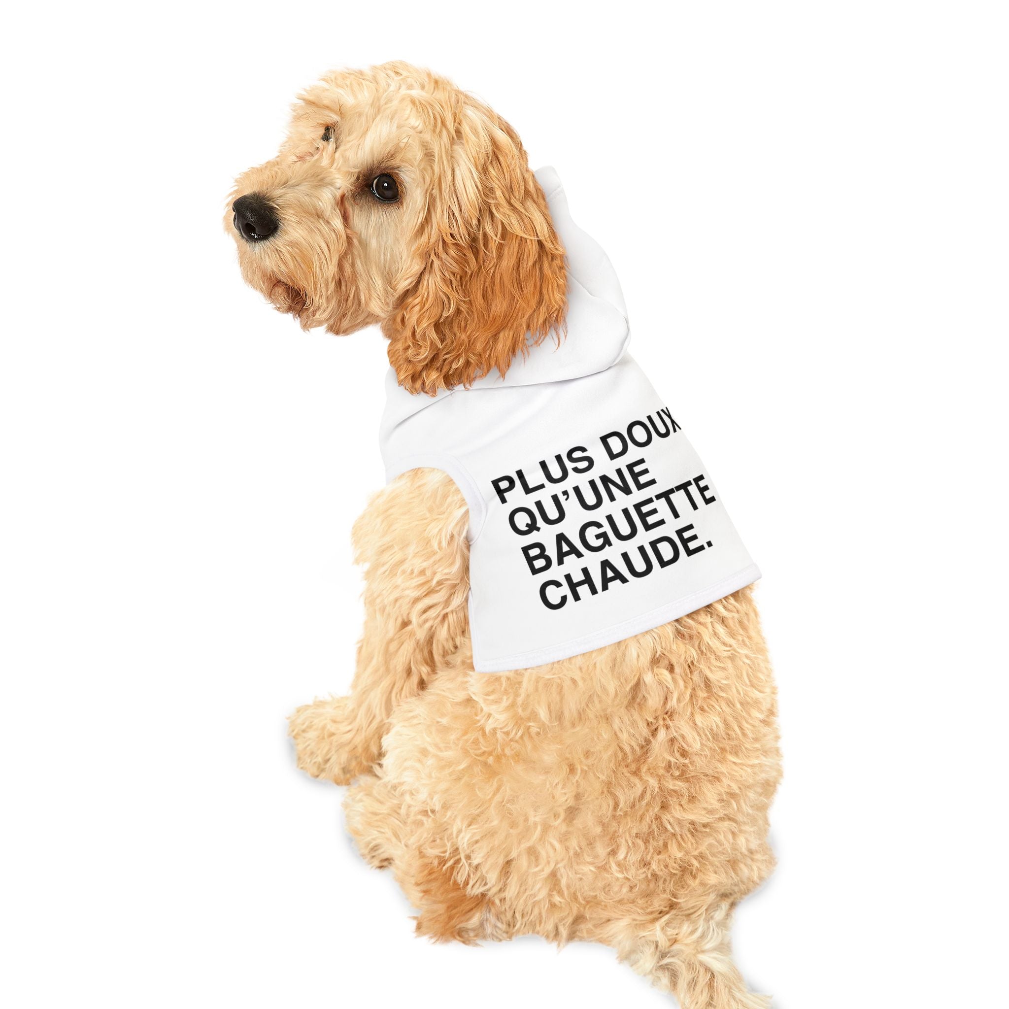 Hoodie pour chien