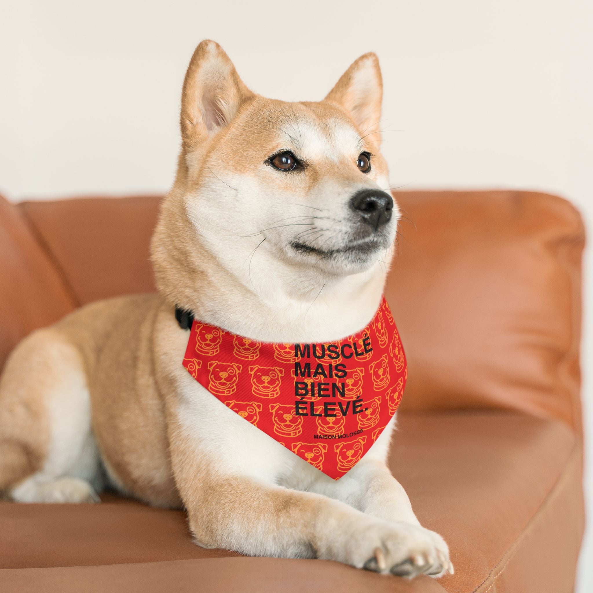 Plus doux qu’une baguette chaude – Bandana Collier Stylé pour chien